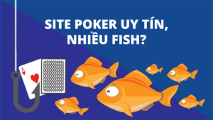 Chia sẻ site poker uy tín và nhiều fish nhất